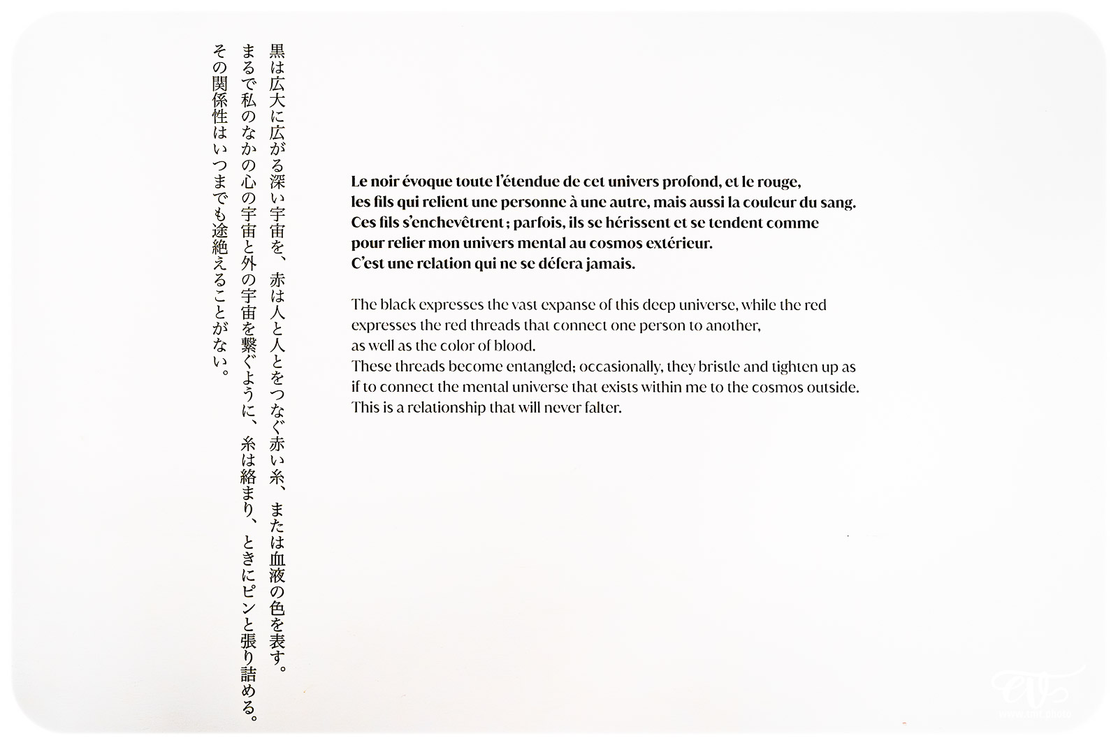 TMTPHOTO CHIHARU SHIOTA 012